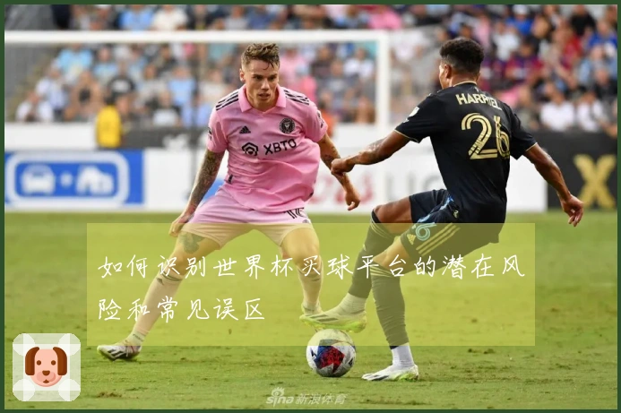 如何识别世界杯买球平台的潜在风险和常见误区