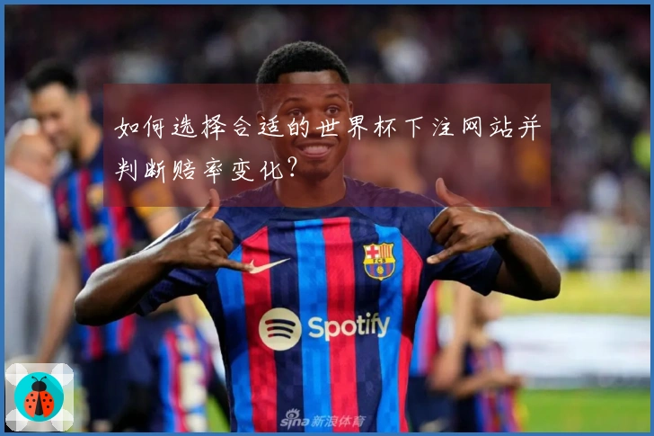 如何选择合适的世界杯下注网站并判断赔率变化?