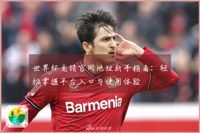 世界杯竞猜官网地址新手指南：轻松掌握平台入口与使用体验