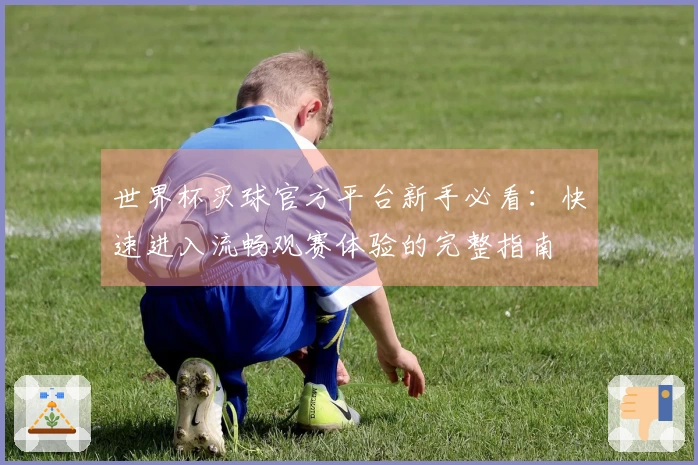 世界杯买球官方平台新手必看：快速进入流畅观赛体验的完整指南