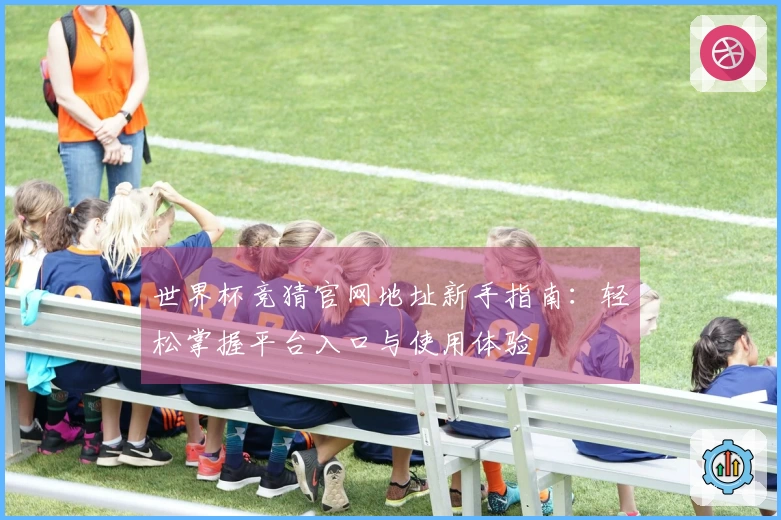 世界杯竞猜官网地址新手指南：轻松掌握平台入口与使用体验