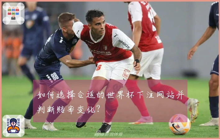如何选择合适的世界杯下注网站并判断赔率变化？