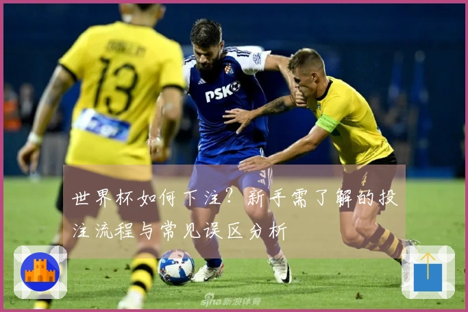 世界杯如何下注？新手需了解的投注流程与常见误区分析